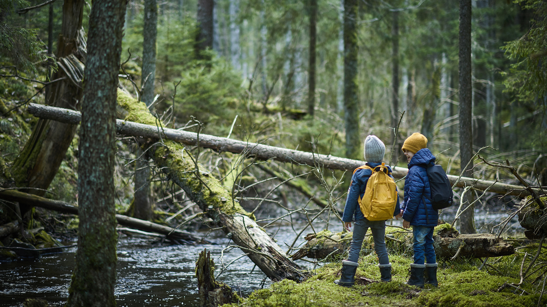 Fotograf: Stefan Isaksson
Bildbyrå: johnér.se Pojkar på äventyr i skog med fallna träd och bäck. Risvedens naturreservat, Västergötland.