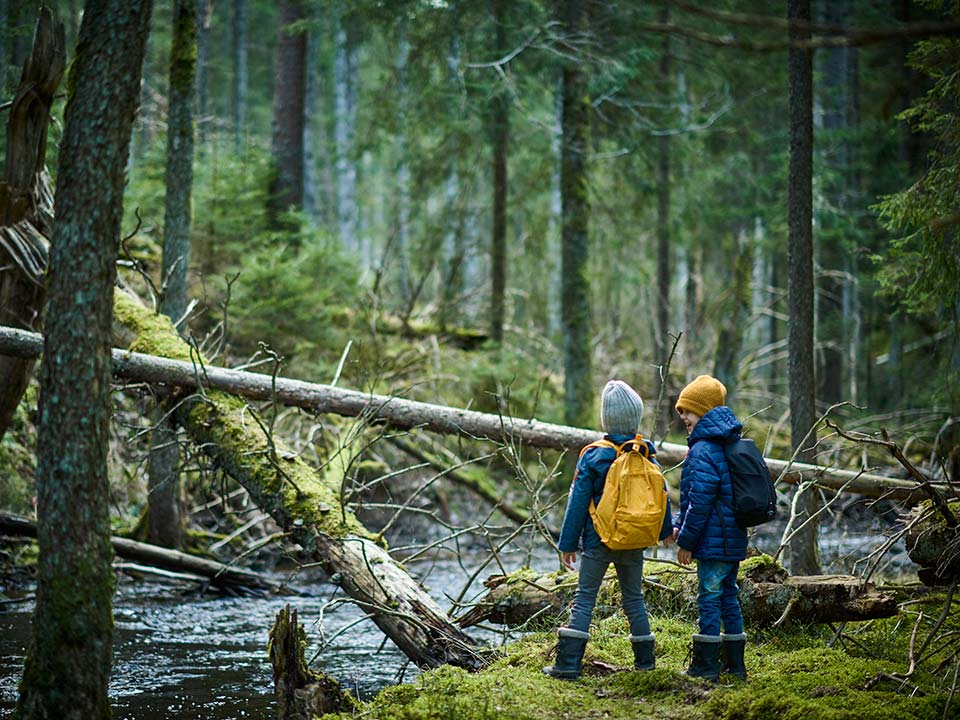 Fotograf: Stefan Isaksson
Bildbyrå: Johnér Två barn i skogen