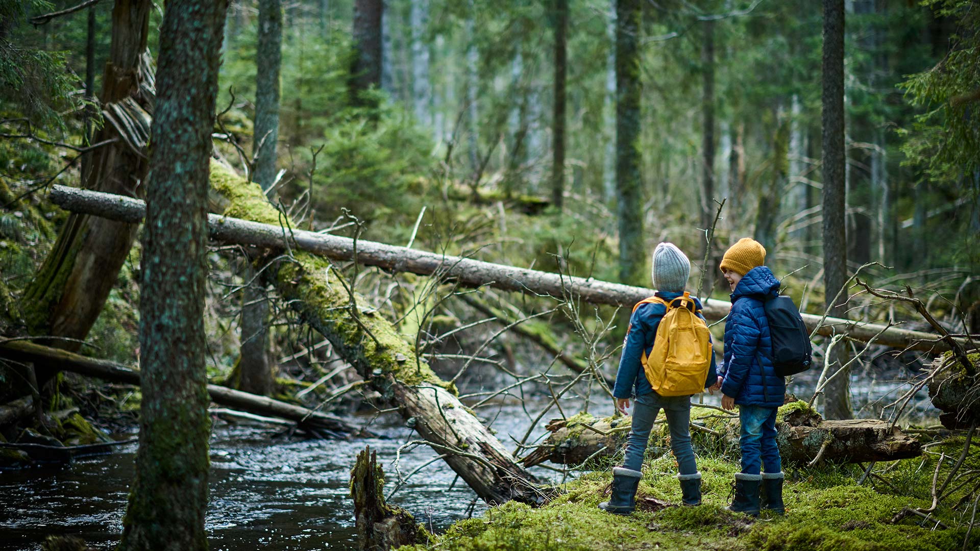 Fotograf: Stefan Isaksson
Bildbyrå: Johnér Pojkar på äventyr i skog med fallna träd och bäck. Risvedens naturreservat, Västergötland