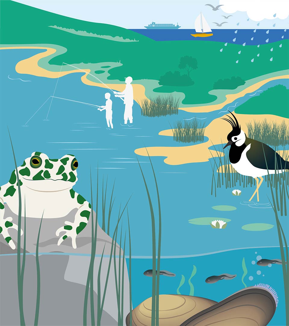 Illustration av personer som fiskar i en sjö, en padda och en sjöfågel i förgrunden