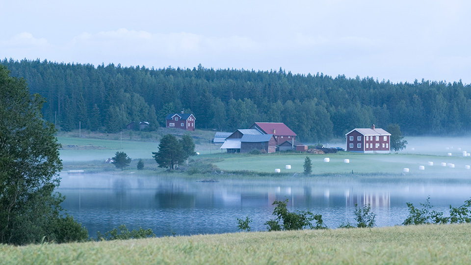 Fotograf: Andreas Lindgren
Bildbyrå: Johnér Gård i glesbygd, vid sjö med skog bakom. Hälsingland, Sverige