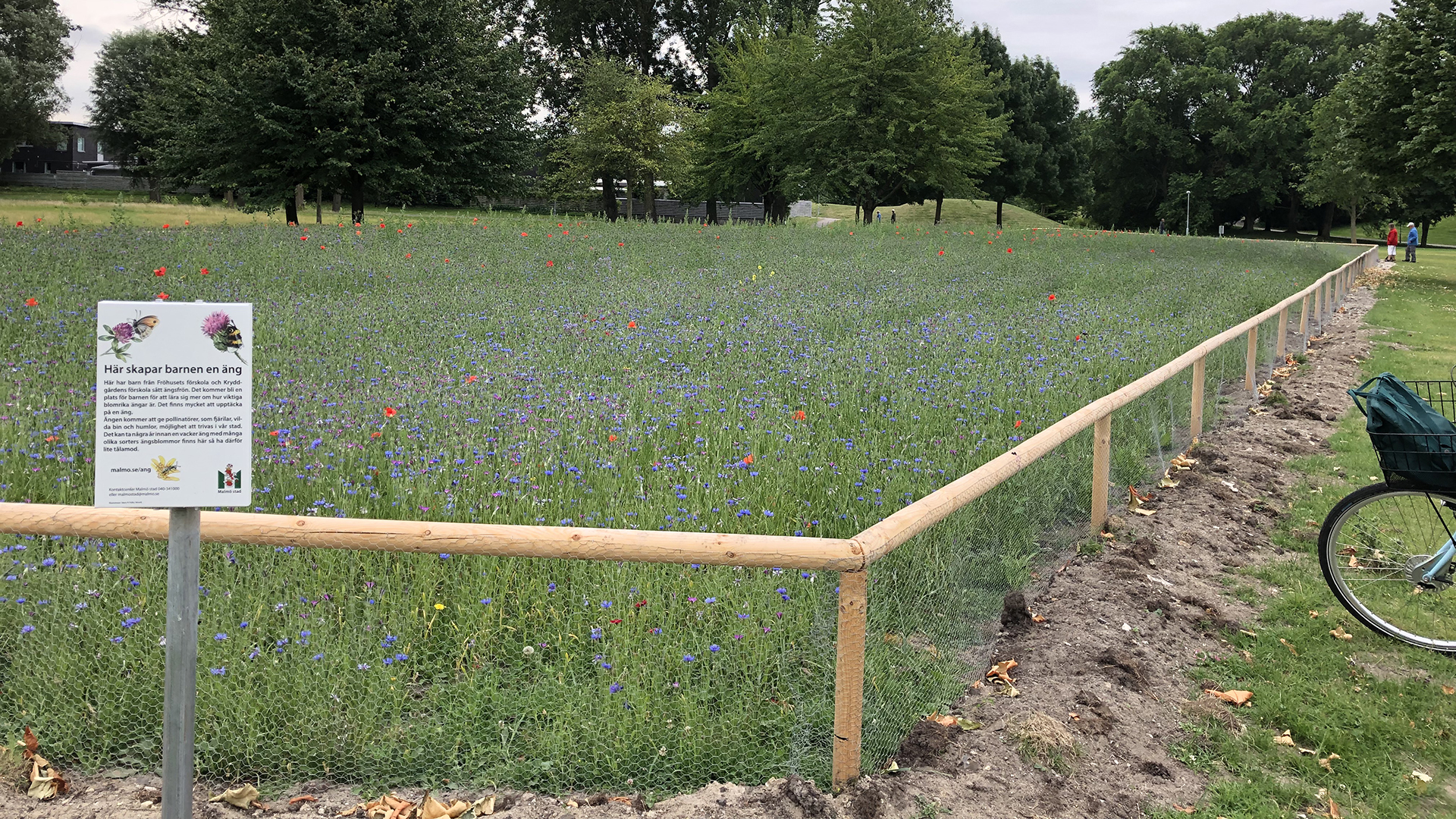 Fotograf: Shoshana Iten En blomsteräng med ett staket runt och en informationsskylt