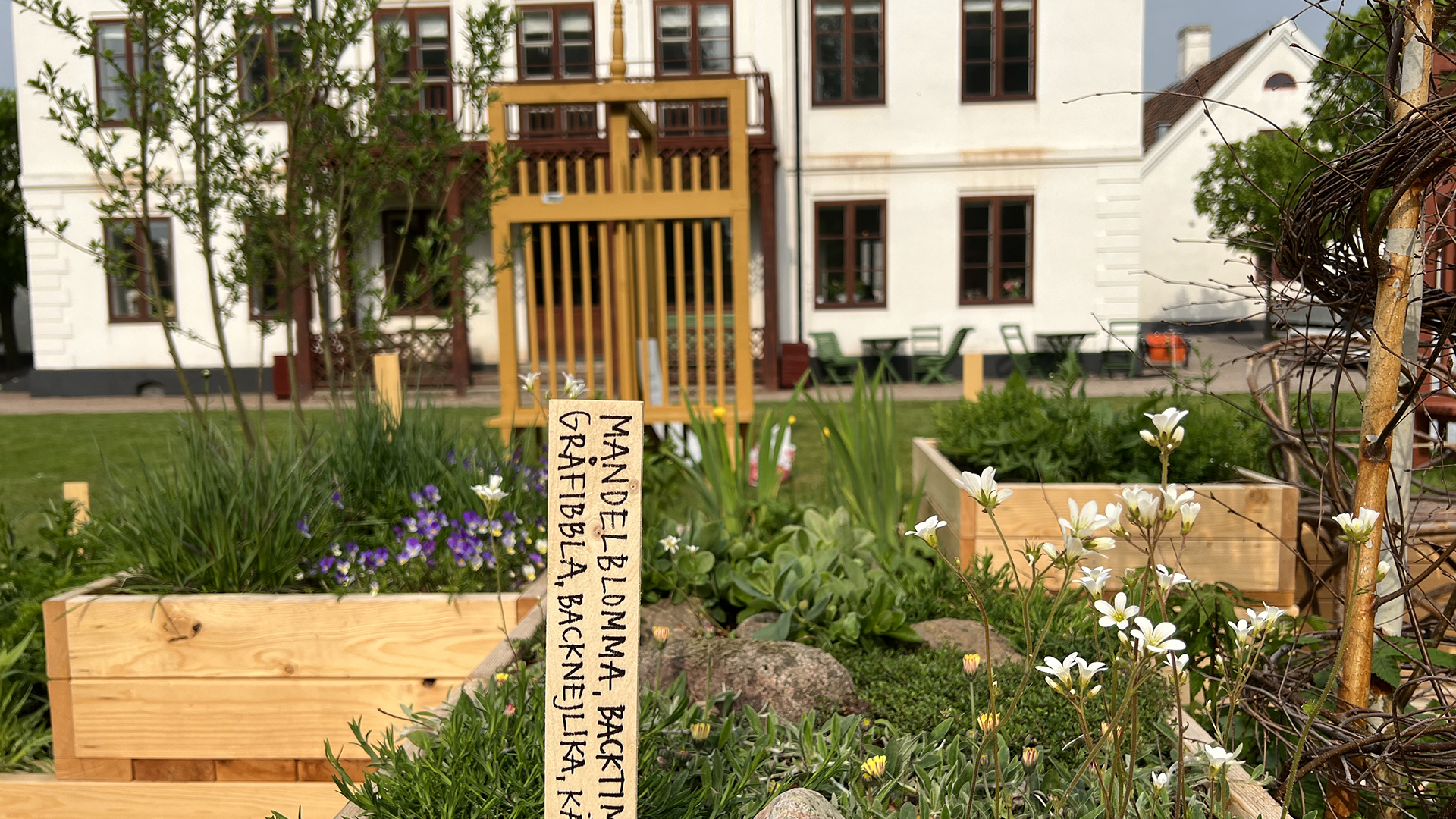 Fotograf: Jakob Sandberg Odlingslådor blommor och växter, i bakgrunden ett vitt hus