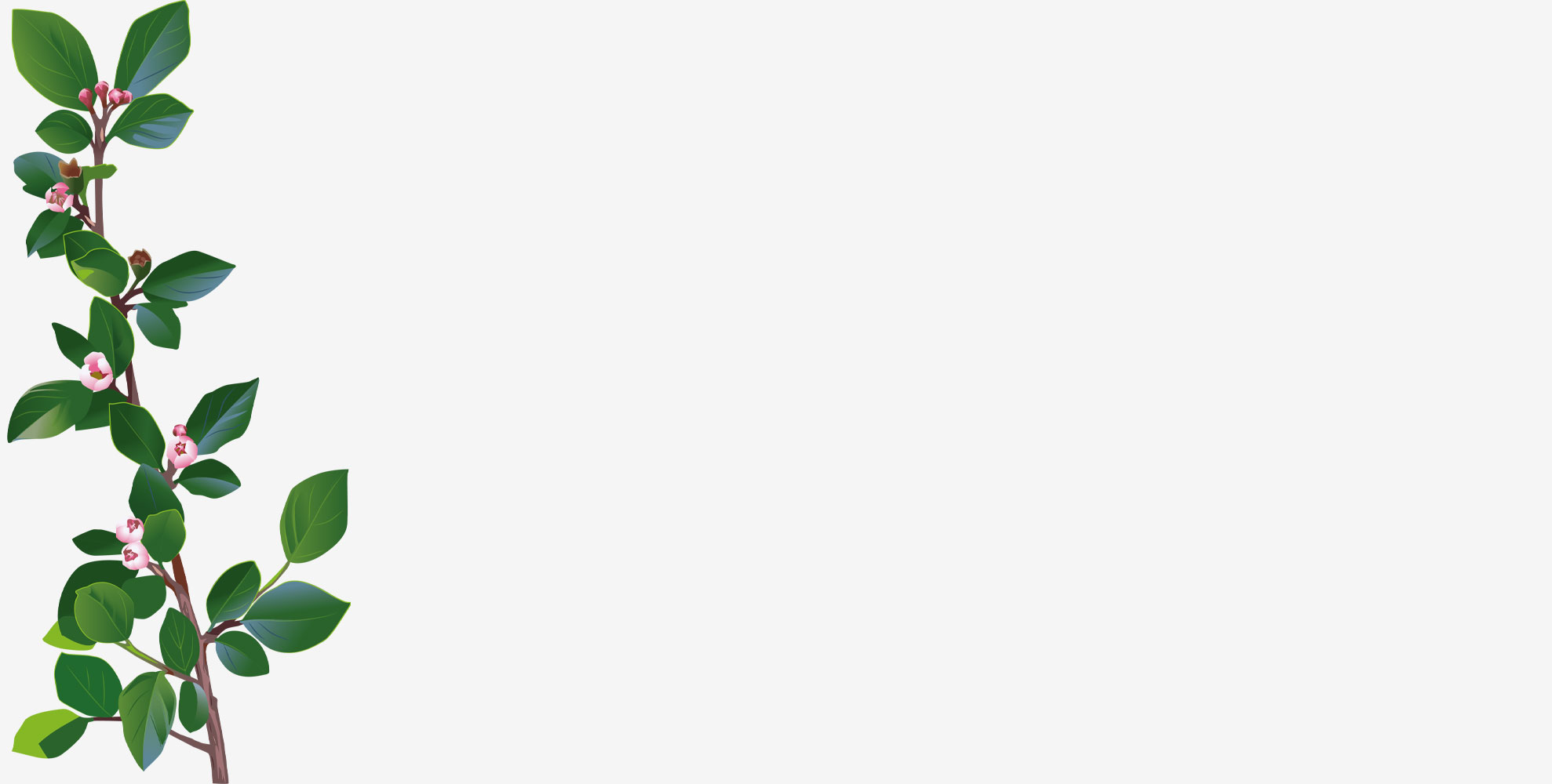 Illustratör: Jakob Robertsson / Typoform Illustration av spärroxbär.