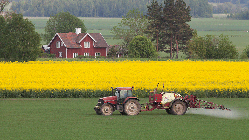 Traktor besprutar fält