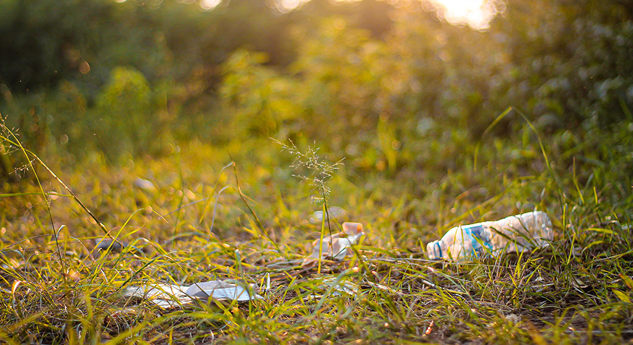 Fotograf: Pixabay
Bildbyrå: Pixabay Nedskräpning i gräset