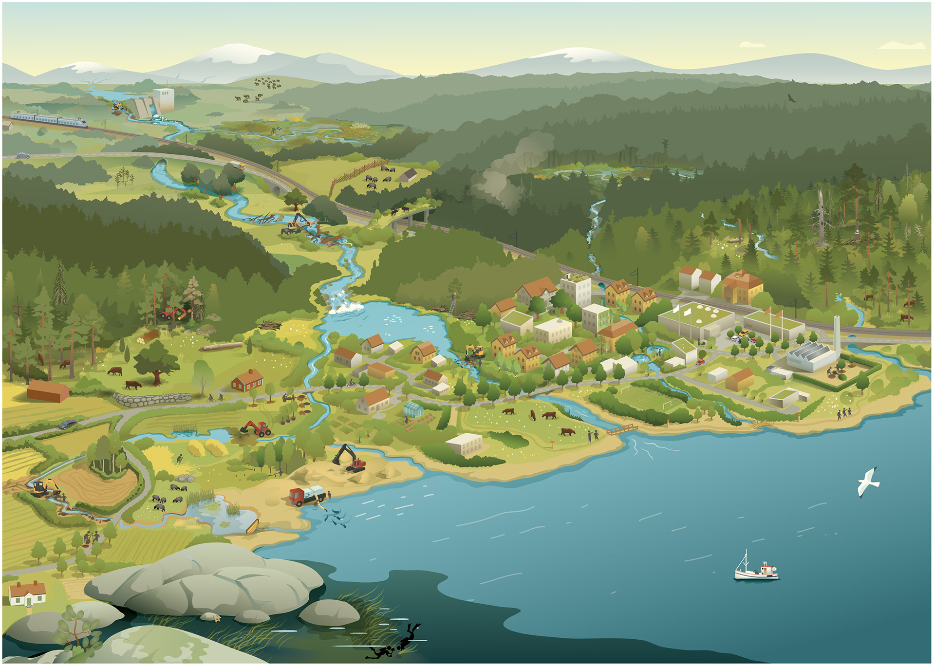 Illustratör: Tobias Flygar/Studio Flygar illustration-naturrestaurering-oversikt.jpg