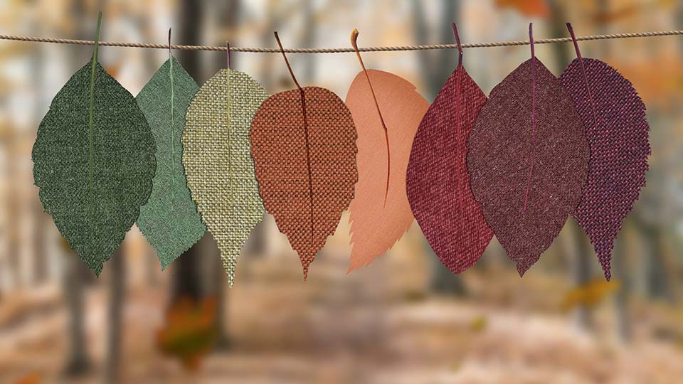 Fotograf: Designecologist
Bildbyrå: Unsplash Tygblad på en lina