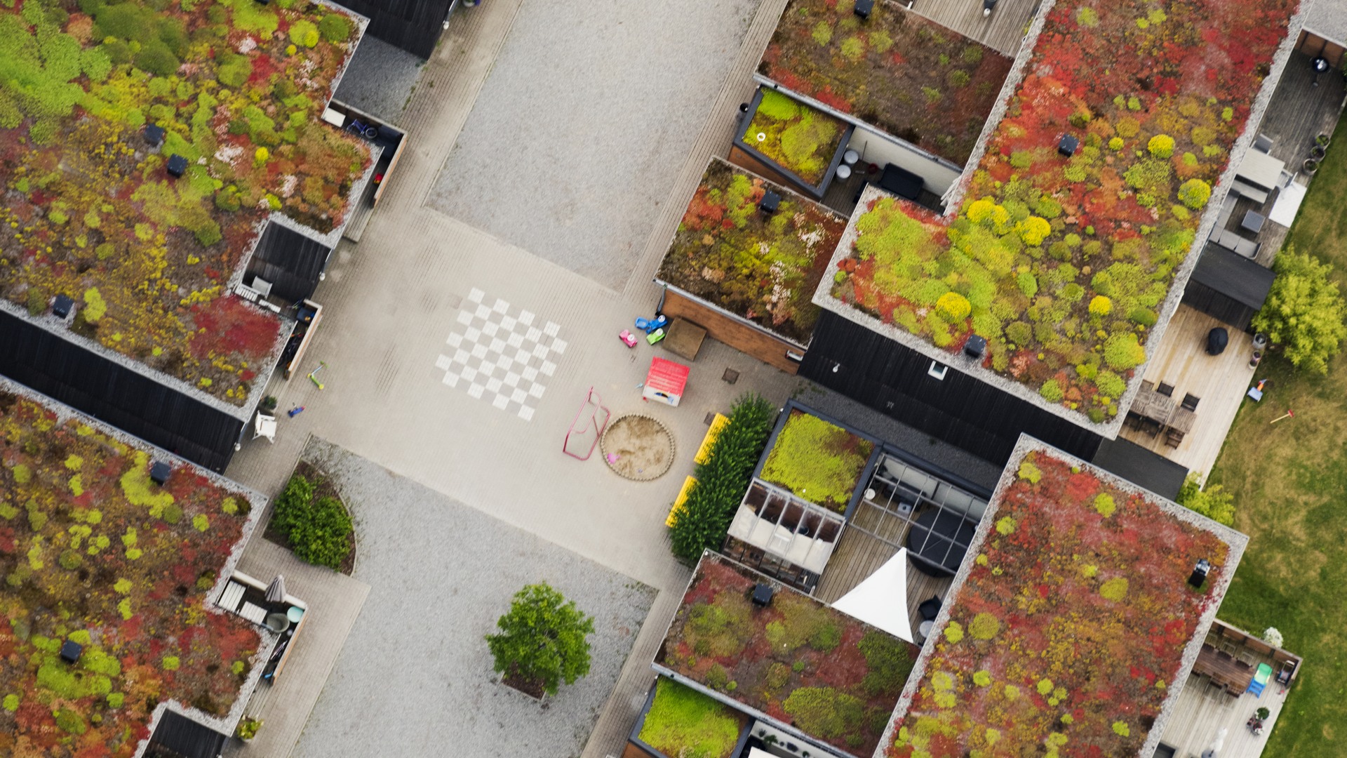 Moderna hus med gräsbelagda tak, Ekerö, Stockholm