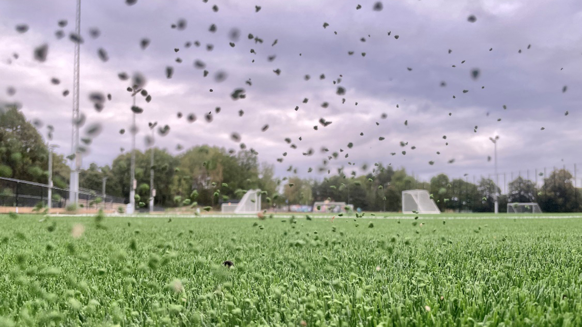 Fotograf: Henrik Löwenhamn
Bildbyrå: Naturvårdsverket Bilden är en närbild av gummigranulat som flyger i luften strax ovanför en fotbollsplan i Stockholm.