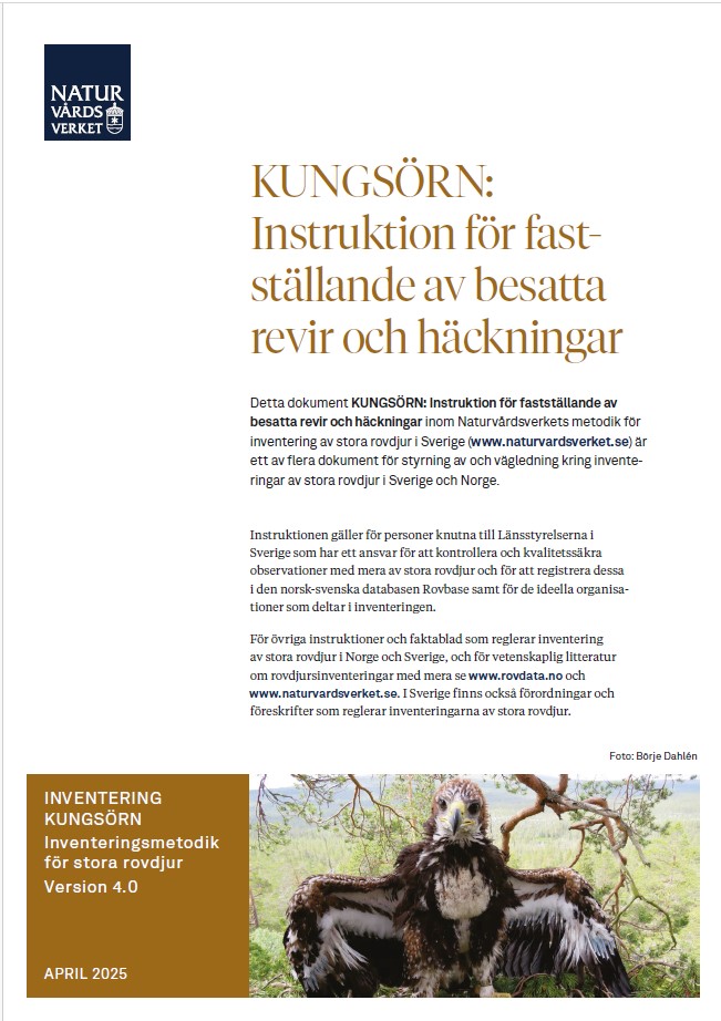 Omslag till faktablad Kungsörn - instruktion för fastställande av besatta revir och häckningar