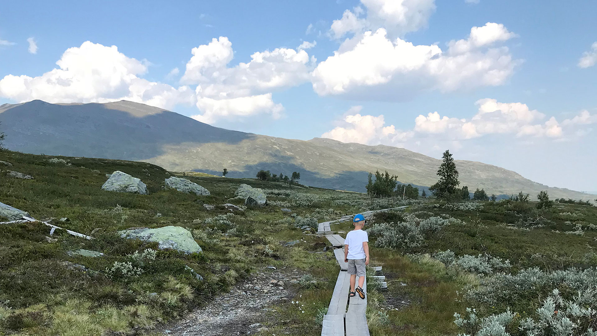 Fotograf: Jenny Lindman Komstedt Fjällvandring längs Jämtlandstriangeln.