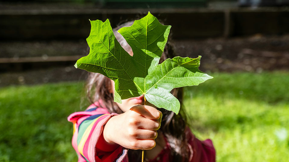 Ett barn håller upp ett grönt blad framför ansiktet