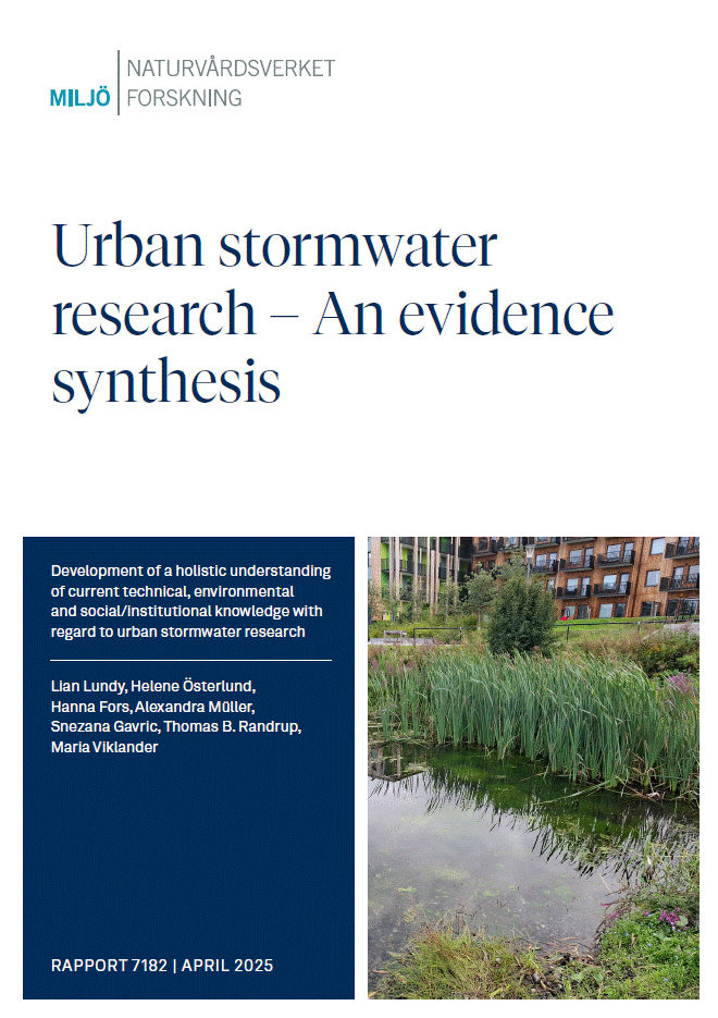 En dam med stilla vatten och vass med höghus i bakgrunden.