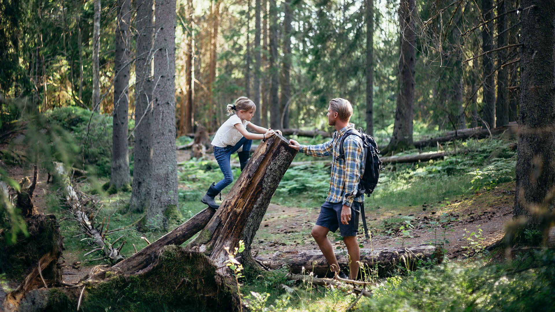 Fotograf: Maskot bildbyrå
Bildbyrå: Maskot Flicka som klättrar på trädstam i skogen, pappa bredvid