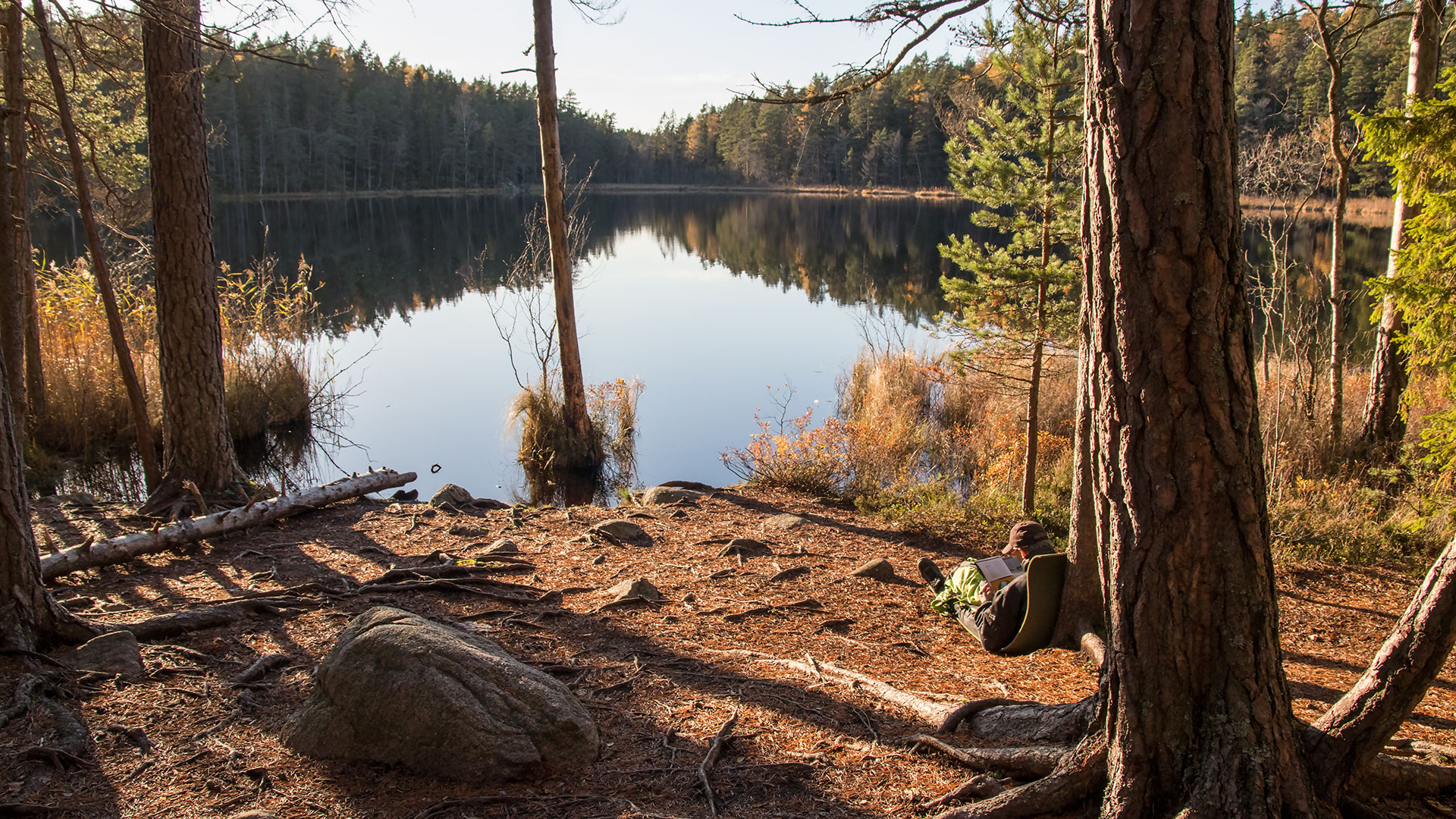 Fotograf: Naturvårdsverket En man sitter lutad mot ett träd vid en sjö.