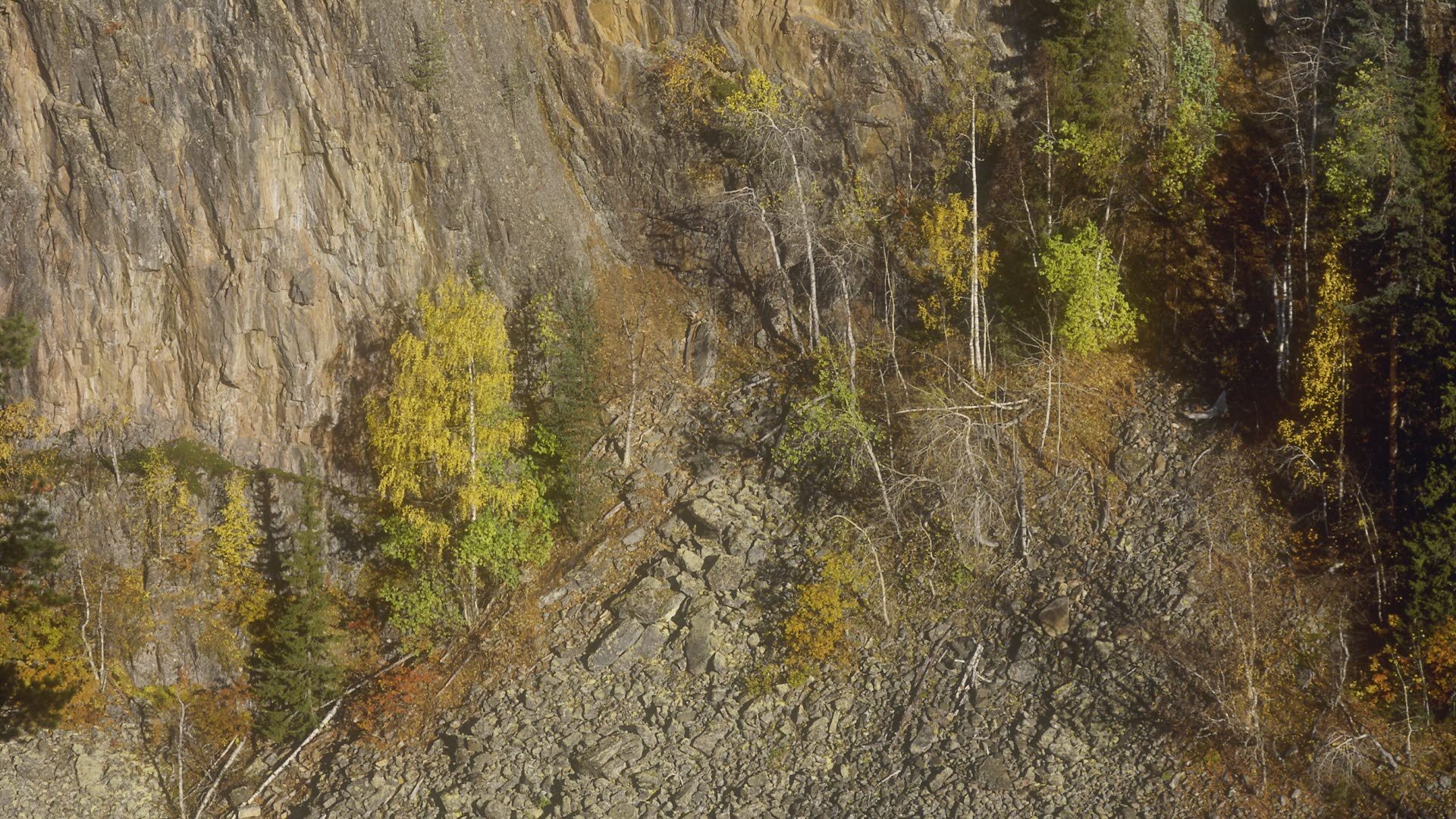 Fotograf: Klas Rune
Bildbyrå: IBL / TT Ras-bergbrant, Måskokårså, Muddus nationalpark