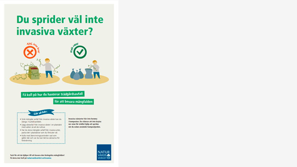 ifa-avfall-affisch-960x540.jpg
