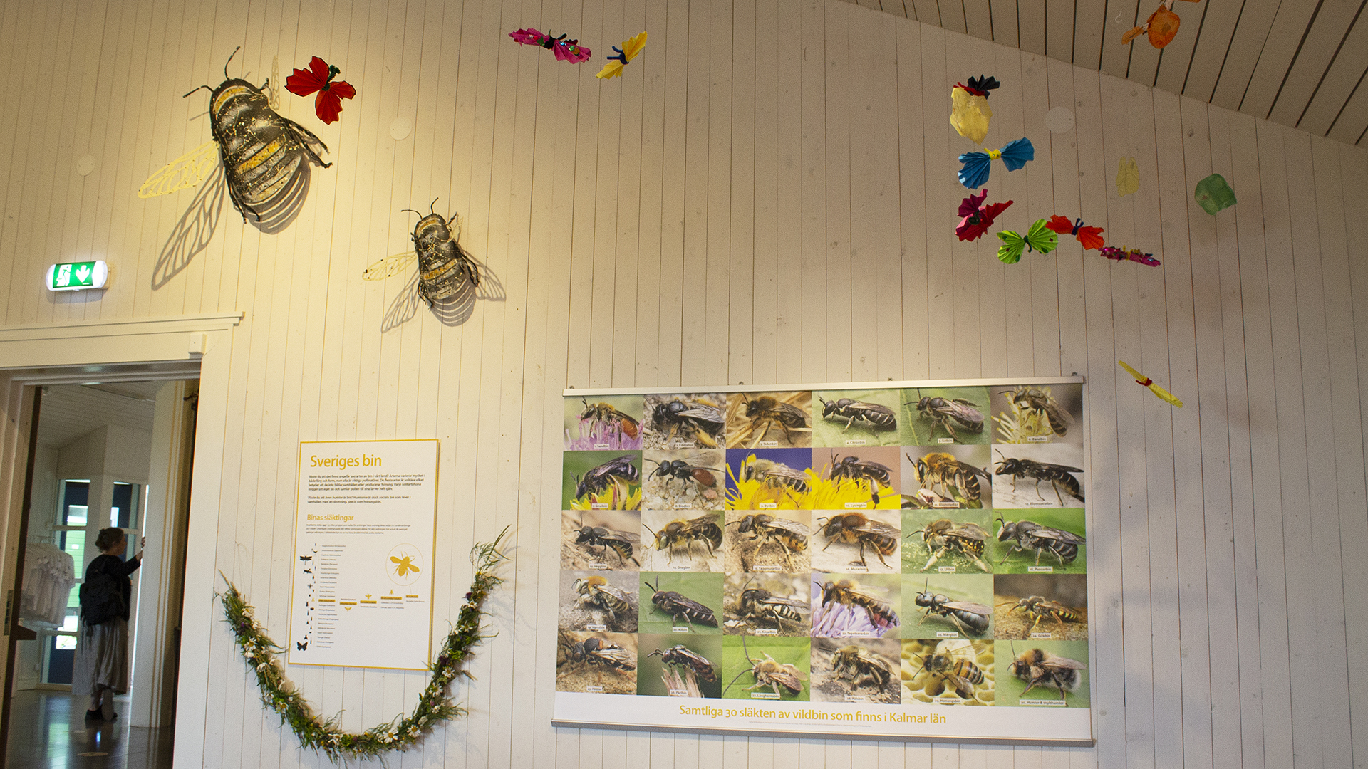 Fotograf: Martina Cederqvist Vägg med information och bilder på vilda bin