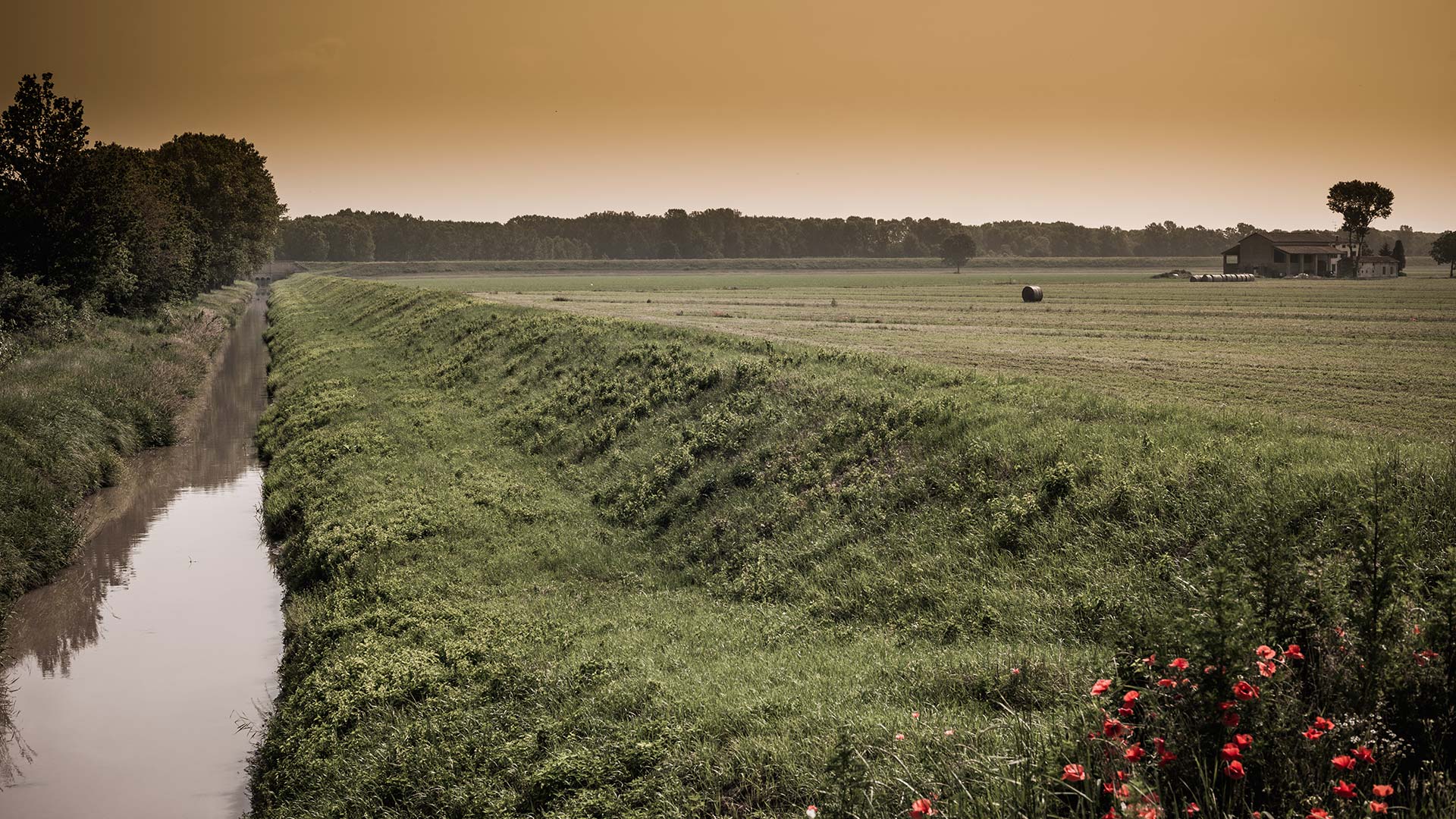 Fotograf: Cultura Creative
Bildbyrå: Johnér Dike i lantligt landskap