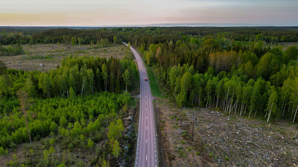 Fotograf: Daniel Diemer
Bildbyrå: Unsplash Flygbild av en rak landsväg som skär genom tät grön skog, med ett kalhygge som tydlig kontrast i landskapet.
