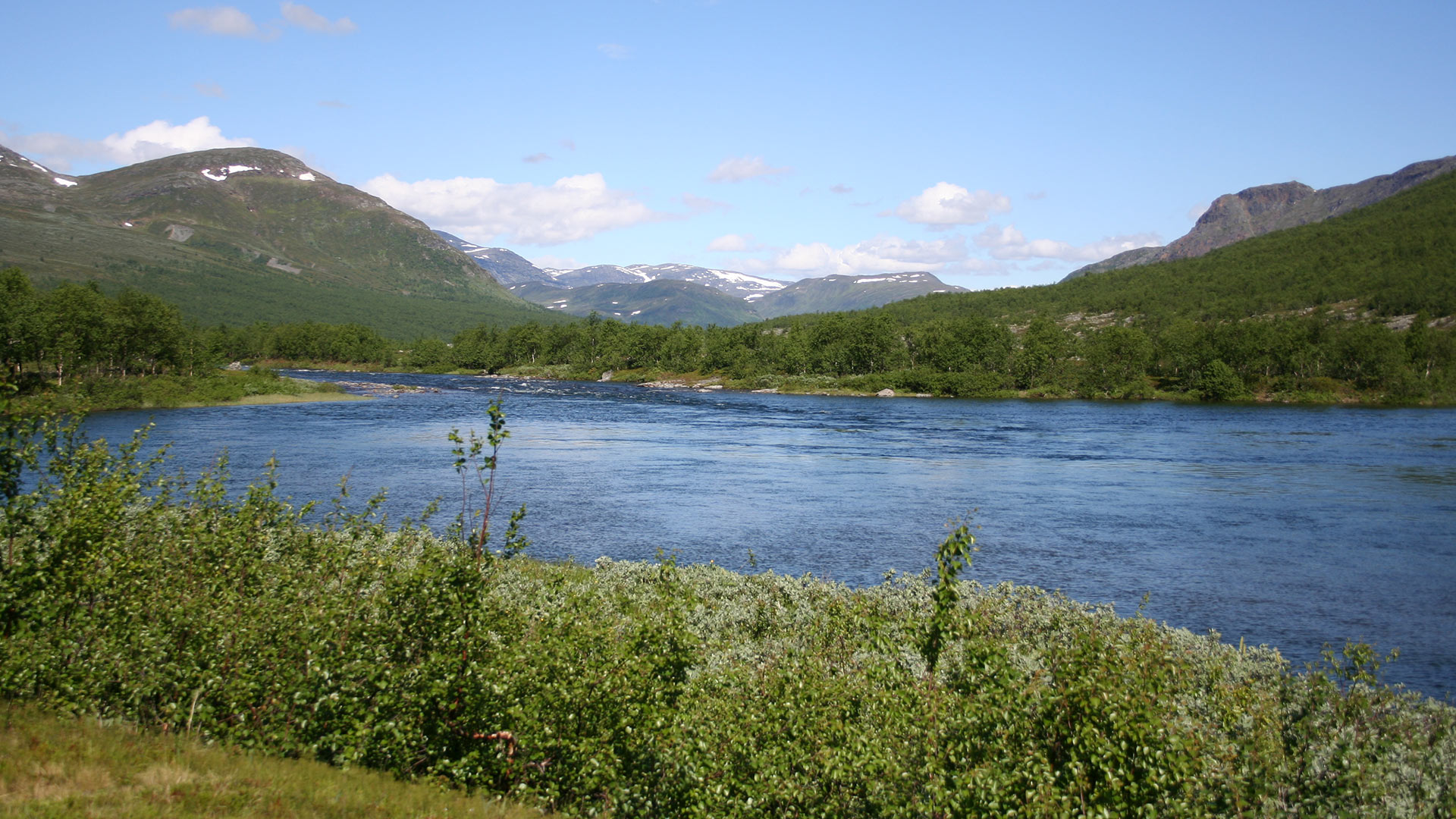 Fotograf: Wenche Eide
Bildbyrå: SLU Artdatabanken Tarradalen