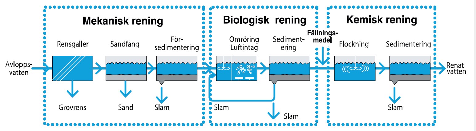 Schematisk bild över rening i avloppsreningsverk
