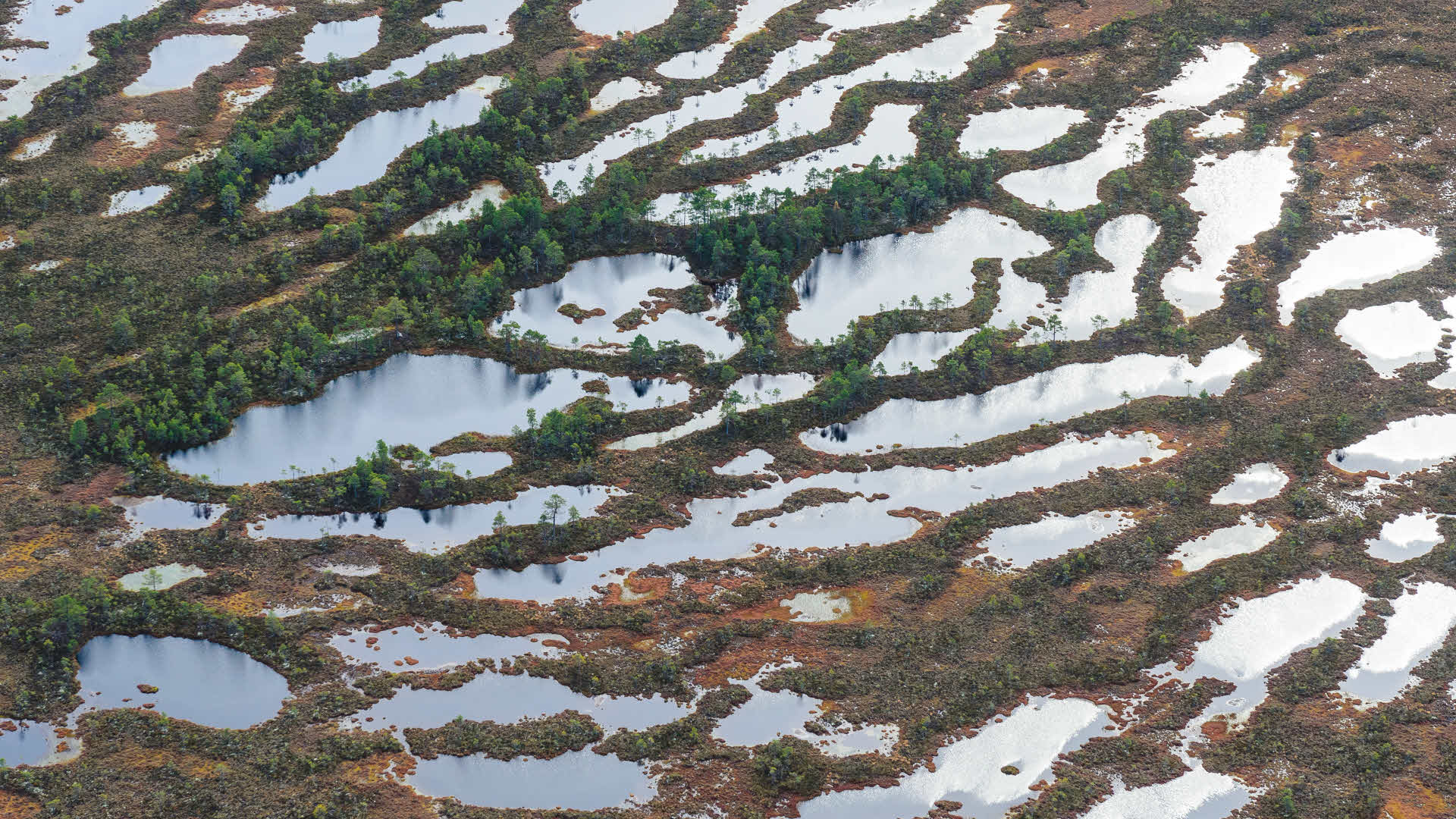 Fotograf: Mikael Svensson
Bildbyrå: Johnér Små vattenpölar på marken