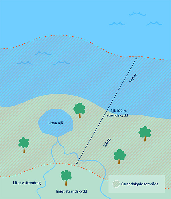 Illustratör: Make your mark strandskydd_storrevatten_illustration.jpg