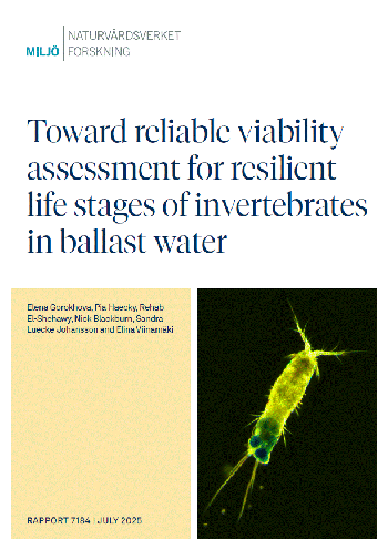 Förstasida för rapporten "Toward reliable viability assessment for resilient life stages of invertebrates in ballast water" med en bild av ett grönt zooplankton mot svart bakgrund.