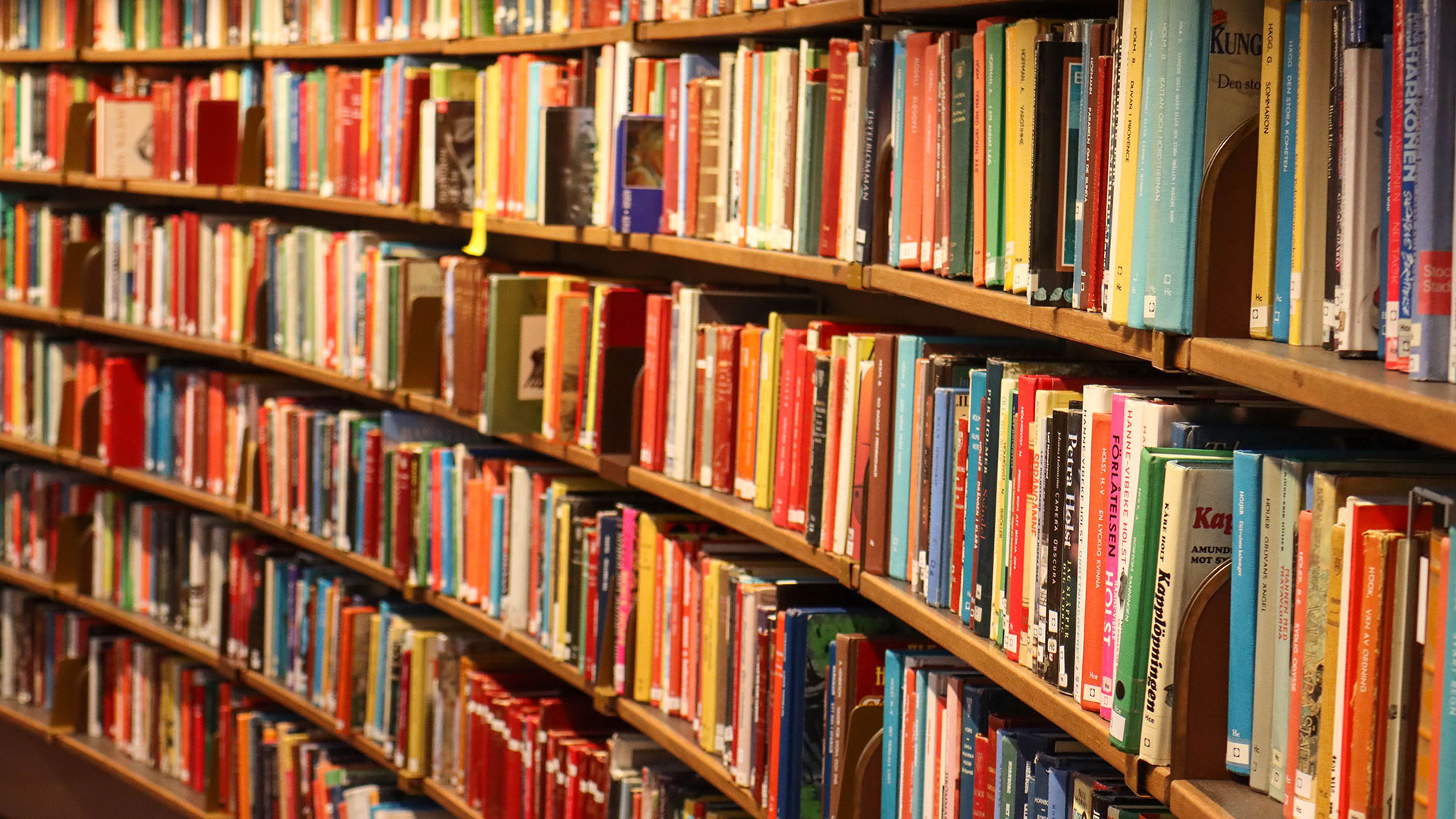 Fotograf: Daniel Forsman
Bildbyrå: Unsplash Bibliotek