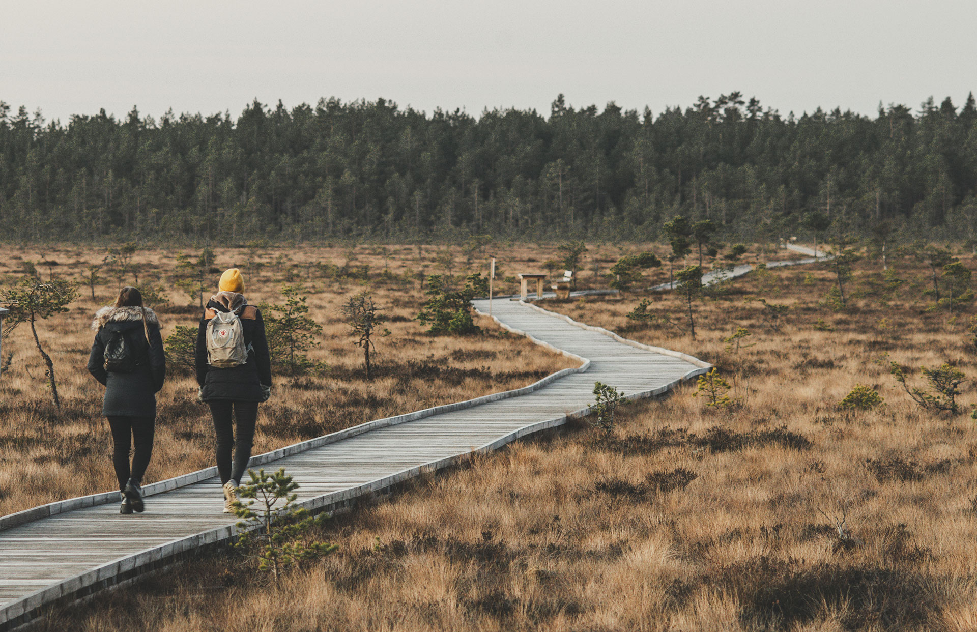 Fotograf: Peter Appelin Vandring i Dumme mosse