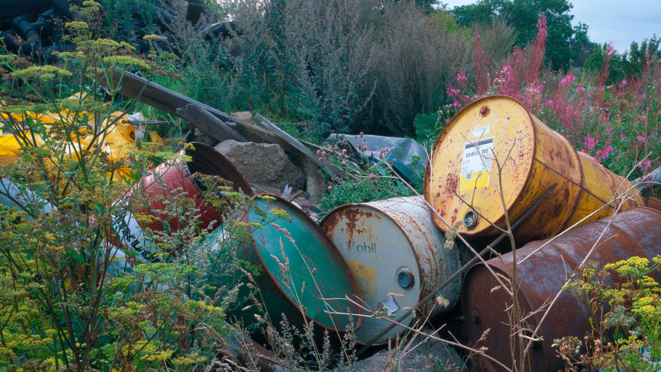 Rostiga oljetunnor i ett buskage, Sverige