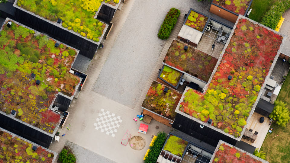 Fotograf: Hans Berggren
Bildbyrå: Johnér Moderna hus med gräsbelagda tak, Ekerö, Stockholm