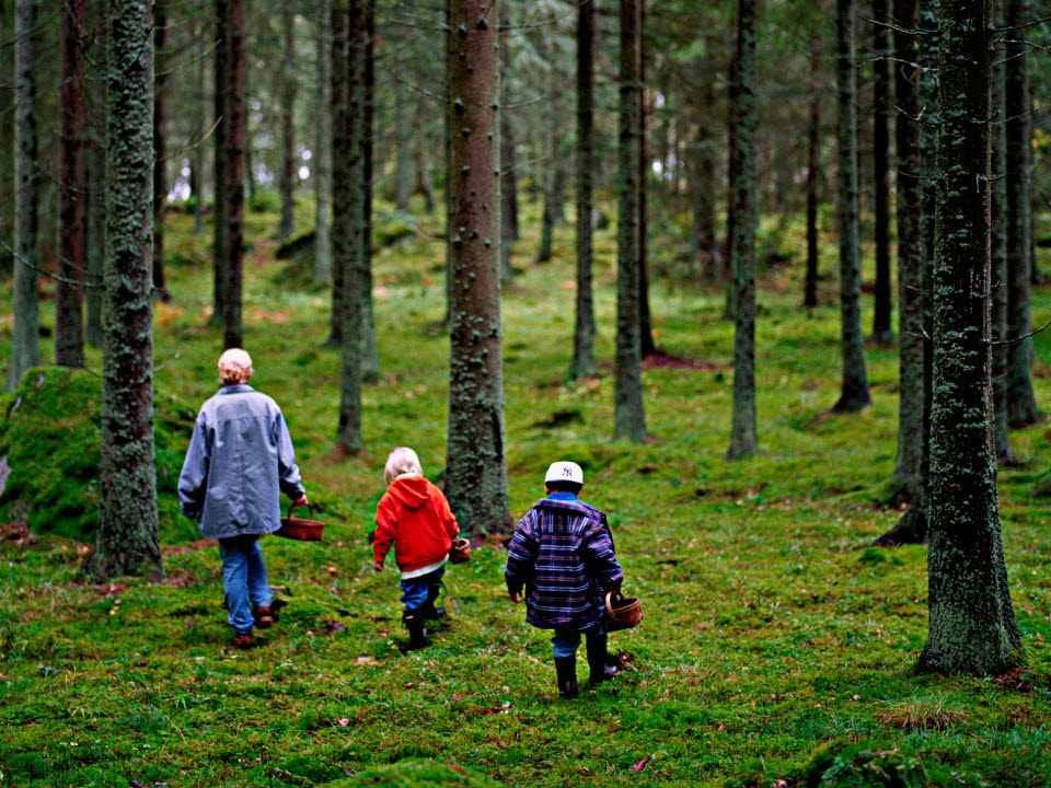 Fotograf: Malte Danielsson
Bildbyrå: Johnér Familj i skogen