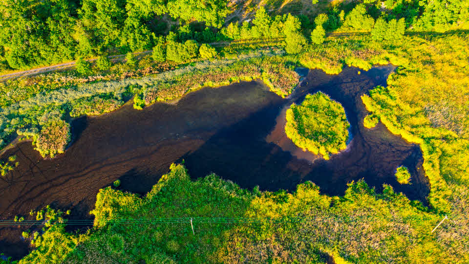 Fotograf: Thomas Adolfsén
Bildbyrå: TT Flygbild över våtmark