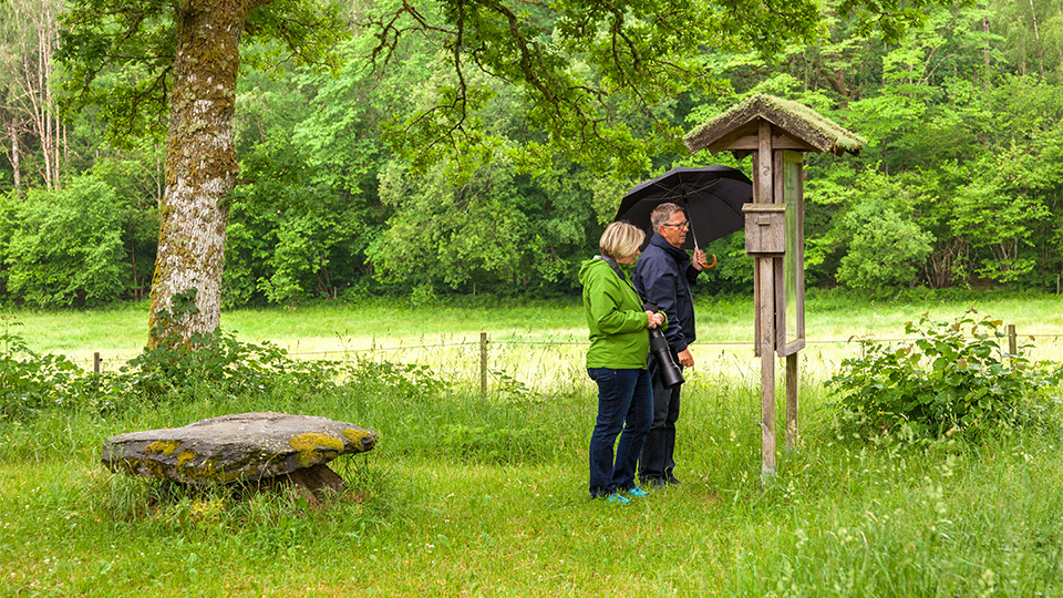 Två personer läser en skylt i naturen