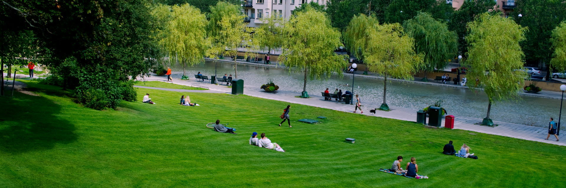Fotograf: Dick Clevestam
Bildbyrå: Johnér Lunch på gräsmattan, Observatorielunden, Stockholm