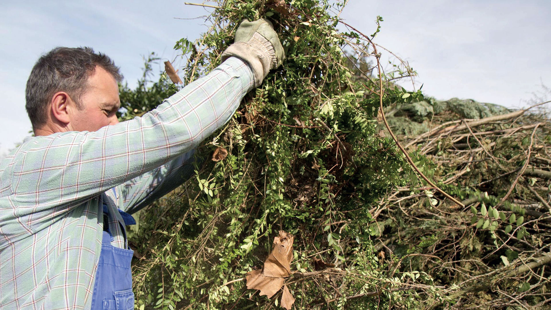 En man lyfter trädgårdsavfall. 