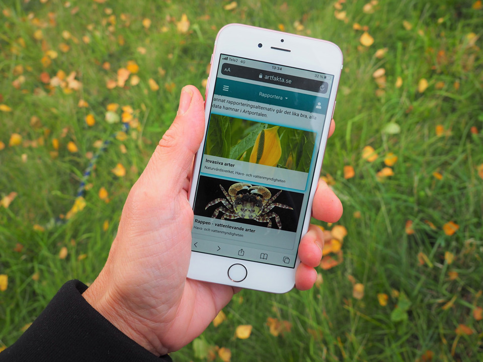 Fotograf: Ellinor Lindblad En hand som håller i en mobiltelefon