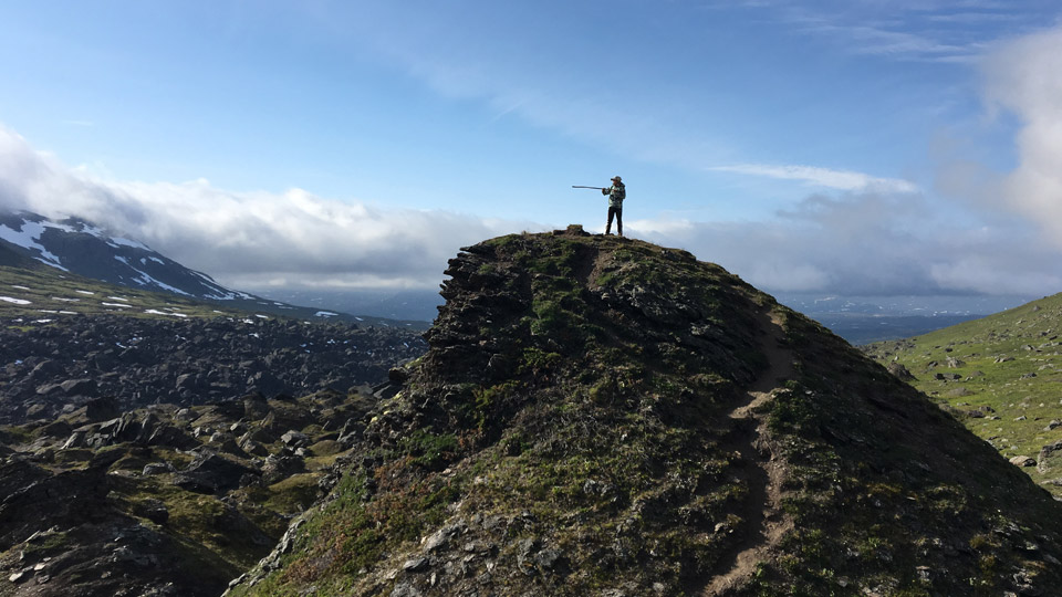 Fotograf: Naturvårdsverket bergsknalle-960x540.jpg