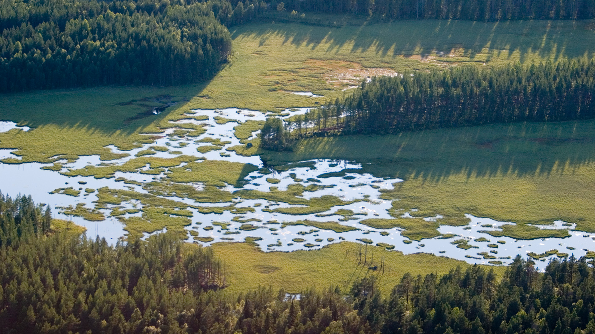 Fotograf: Roine Magnusson
Bildbyrå: Johnér Flygbild över våtmark, Västerbotten