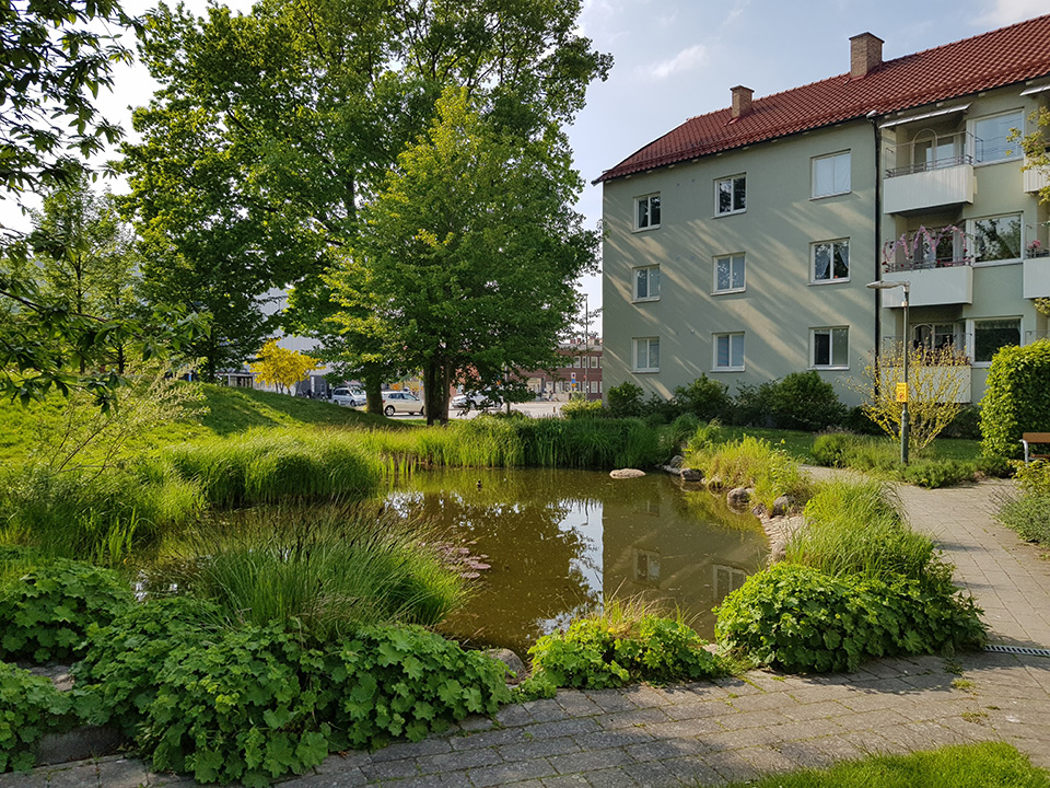 Fotograf: Timo Persson Dagvattendamm