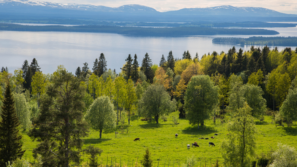 Fotograf: Frosoanders
Bildbyrå: Pixabay Landskap