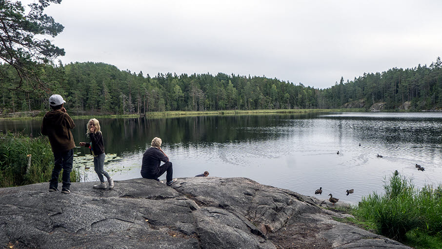 Besökare vid sjö, Tyresta
