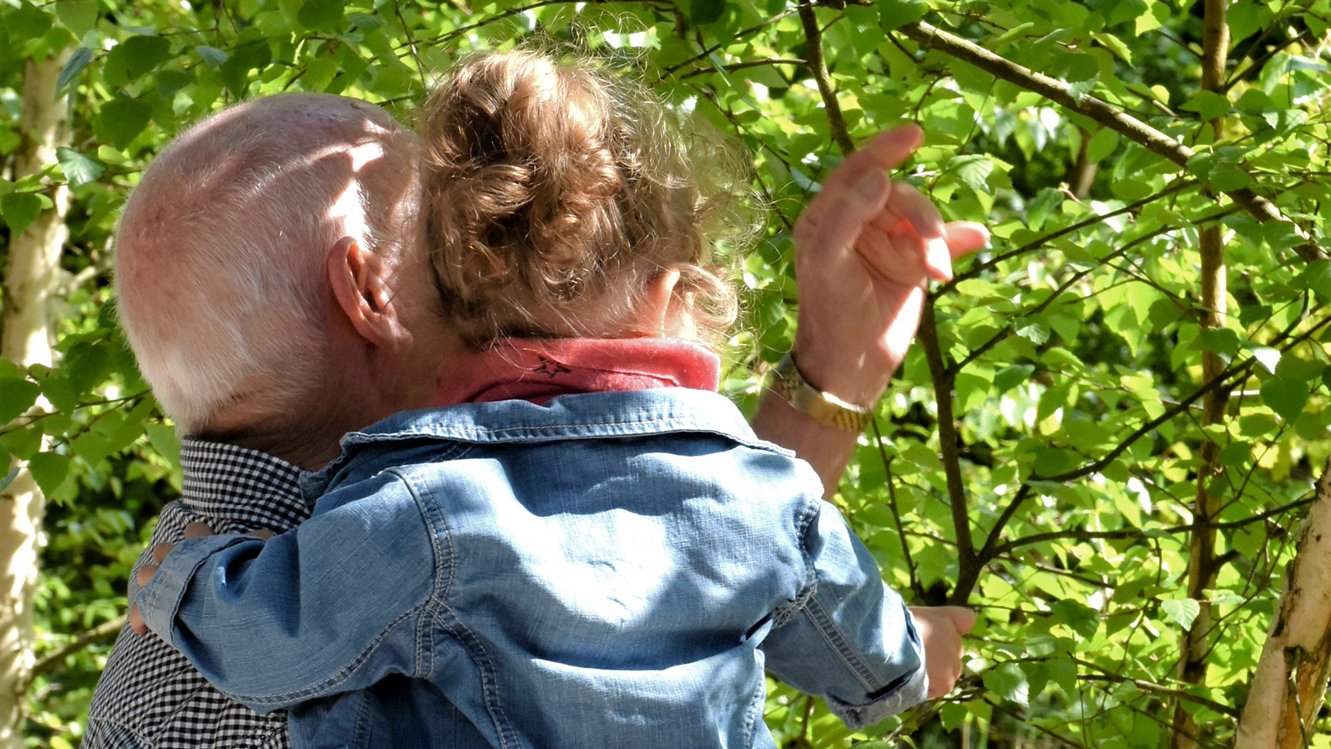 Fotograf: Pixabay. Äldre man och barn bland träd.
